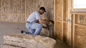 Best Basement Insulation  in Melrose, MN