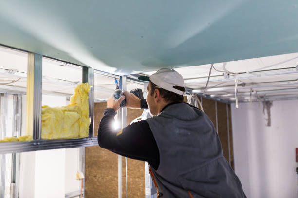 Best Blown-In Insulation  in Melrose, MN